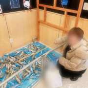 ヒメ日記 2026/01/31 20:48 投稿 江桃えと 五十路マダム静岡店（カサブランカG）