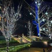 ヒメ日記 2025/12/04 06:28 投稿 たき 三つ乱本館