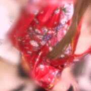 ヒメ日記 2026/01/15 10:37 投稿 たき 三つ乱本館