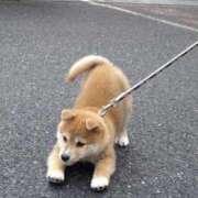 ヒメ日記 2025/09/25 23:39 投稿 早見りょう ザイオン 会員制アロマエステ