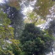 ヒメ日記 2025/11/09 15:49 投稿 早見りょう ザイオン 会員制アロマエステ