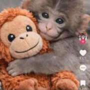 ヒメ日記 2026/02/27 16:35 投稿 木村　すずらん やみつきエステ2nd札幌店