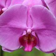 ヒメ日記 2025/12/09 15:14 投稿 七海杏奈 五十路マダムエクスプレス横浜店（カサブランカグループ）