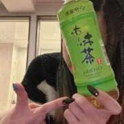 ヒメ日記 2025/12/12 18:30 投稿 りょうちん buzz-B