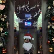 ヒメ日記 2025/12/24 13:21 投稿 椿 あすか イマジン東京