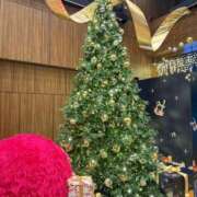 ヒメ日記 2025/11/24 17:06 投稿 はな シャブール