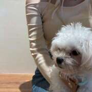 ヒメ日記 2025/12/24 02:49 投稿 はな シャブール