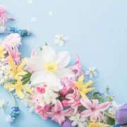 ヒメ日記 2026/02/07 14:59 投稿 うか 木更津人妻花壇