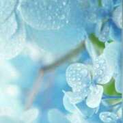 ヒメ日記 2026/02/08 10:24 投稿 うか 木更津人妻花壇