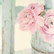 ヒメ日記 2026/02/14 09:25 投稿 うか 木更津人妻花壇