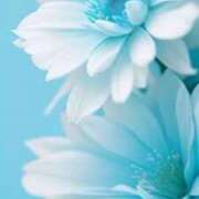 うか 15時〜♡ 木更津人妻花壇