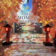 ヒメ日記 2025/10/19 18:37 投稿 りの パイの巣