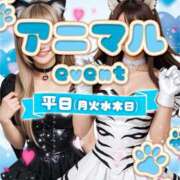 ヒメ日記 2025/11/04 21:11 投稿 りの パイの巣