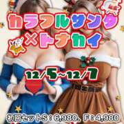 りの クリスマス パイの巣