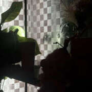 ヒメ日記 2025/12/11 22:44 投稿 りの パイの巣