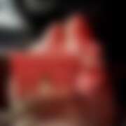 ヒメ日記 2025/12/11 22:52 投稿 りの パイの巣