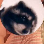 ヒメ日記 2025/10/11 10:05 投稿 ひな ごほうびSPA神戸店