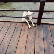 ヒメ日記 2025/11/01 13:04 投稿 ひな ごほうびSPA神戸店