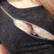 ヒメ日記 2025/09/26 18:54 投稿 しゅり 桃李（とうり）