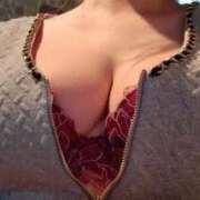 ヒメ日記 2025/11/30 14:02 投稿 しゅり 桃李（とうり）