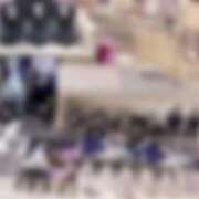 ヒメ日記 2025/12/06 17:34 投稿 しゅり 桃李（とうり）