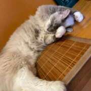 ヒメ日記 2026/06/01 20:41 投稿 澪-MIO- luxury aroma 咲