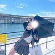 ヒメ日記 2025/10/14 09:17 投稿 まこと チューリップ福井本館