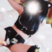 ヒメ日記 2025/11/09 11:24 投稿 まこと チューリップ福井本館