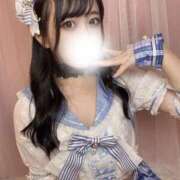 ヒメ日記 2025/11/12 09:20 投稿 まこと チューリップ福井本館