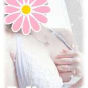 ヒメ日記 2025/11/03 10:40 投稿 槇村ほのか 五十路マダム静岡店（カサブランカG）