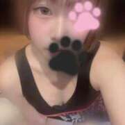 ヒメ日記 2025/11/04 12:27 投稿 よいち ビアガーデンカーニバル