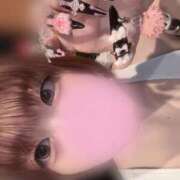 ヒメ日記 2025/11/24 13:00 投稿 よいち ビアガーデンカーニバル