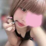 ヒメ日記 2025/12/04 12:19 投稿 よいち ビアガーデンカーニバル