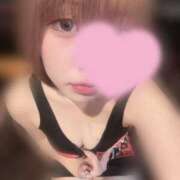 ヒメ日記 2025/12/18 12:42 投稿 よいち ビアガーデンカーニバル