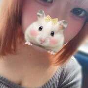 ヒメ日記 2026/02/06 11:37 投稿 よいち ビアガーデンカーニバル