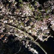 ヒメ日記 2025/12/03 22:14 投稿 堀田 美風 大阪貴楼館