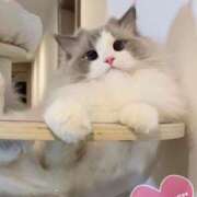 ヒメ日記 2025/09/24 20:48 投稿 あいか♡まさに最高峰 ラヴァーズ