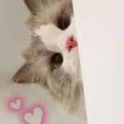 ヒメ日記 2026/01/13 12:25 投稿 あいか♡まさに最高峰 ラヴァーズ