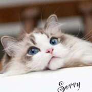 ヒメ日記 2026/04/08 16:19 投稿 あいか♡まさに最高峰 ラヴァーズ