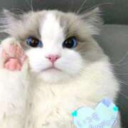 ヒメ日記 2026/04/17 07:59 投稿 あいか♡まさに最高峰 ラヴァーズ