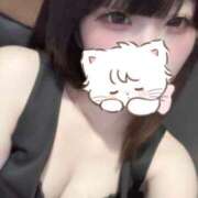 ヒメ日記 2025/09/21 11:49 投稿 のあ 今こそ!にゃんにゃん学園