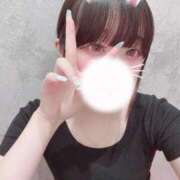 ヒメ日記 2025/09/22 04:00 投稿 のあ 今こそ!にゃんにゃん学園