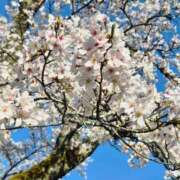 れな 明日出勤します ままどーる