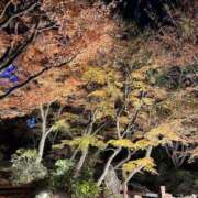 早川みほ 眠れない夜を一緒に♡ MIRAI TOKYO 六本木店