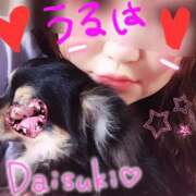 ヒメ日記 2025/09/23 18:05 投稿 うるは 宮崎ちゃんこ都城店