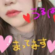 ヒメ日記 2025/09/26 12:30 投稿 うるは 宮崎ちゃんこ都城店