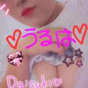 ヒメ日記 2025/09/29 22:04 投稿 うるは 宮崎ちゃんこ都城店