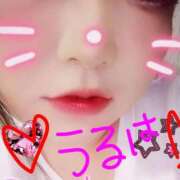 ヒメ日記 2025/10/12 16:48 投稿 うるは 宮崎ちゃんこ都城店