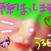 ヒメ日記 2025/10/13 23:55 投稿 うるは 宮崎ちゃんこ都城店