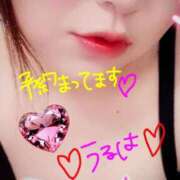 ヒメ日記 2025/11/03 19:35 投稿 うるは 宮崎ちゃんこ都城店